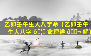 乙卯壬午生人八字命（乙卯壬午生人八字 🦈 命理详 🐬 解）